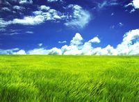 pic for Green Grassland 